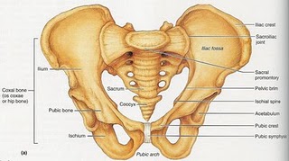 6 Bagian Tubuh Wanita yang Memicu Gairah Seks Jika Disentuh