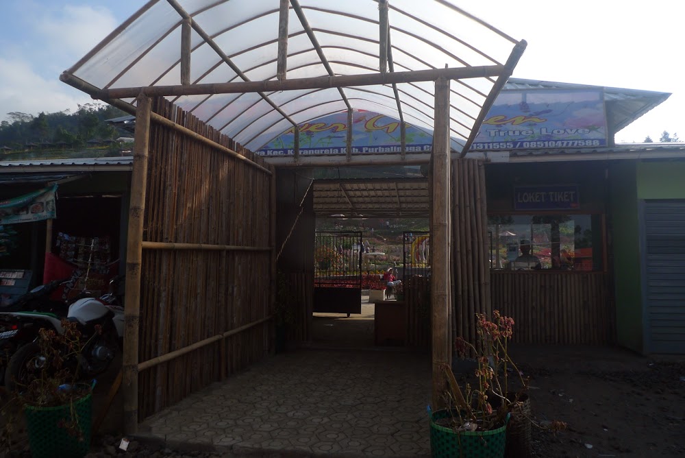 &#91;CoC Regional: Lokasi Wisata&#93; Nyasar, Sampai Kutabawa Flower Garden