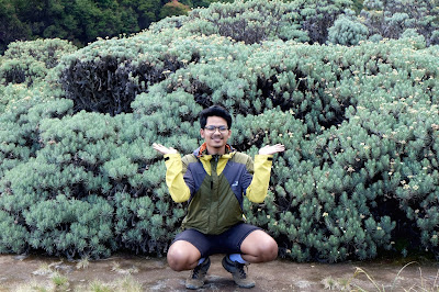 One Day Hiking ke Gunung Eksotis, Papandayan