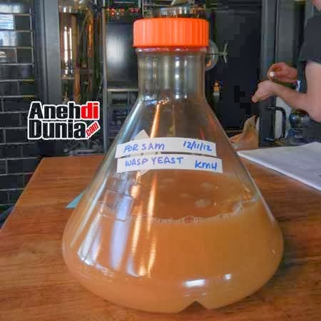 4 Minuman Keras Dengan Bahan Paling Aneh Di Dunia