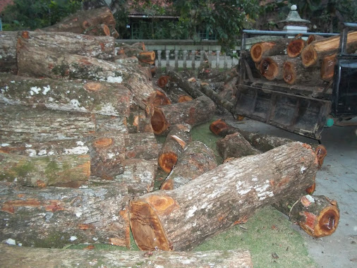 Mengenal Sedikit Lebih Detail Bokken (Pedang Kayu) Sawo