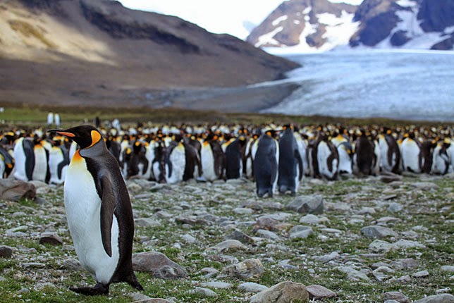 &#91;WOOW GANS!&#93; 10 Pulau Dengan Kenaekaragaman Hayati Menakjubkan