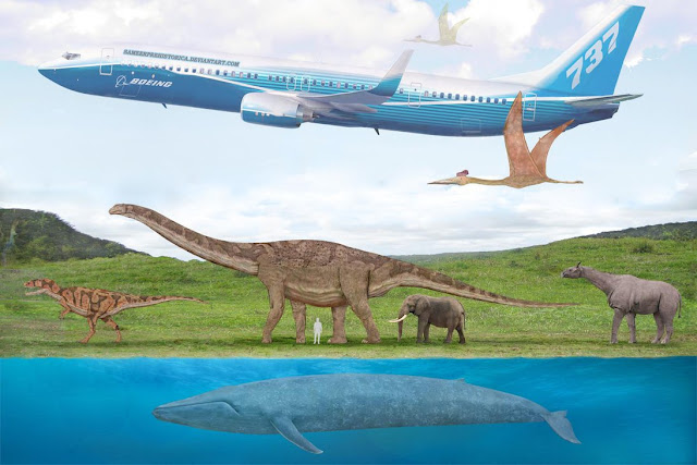 10 Fakta tentang Dinosaurus
