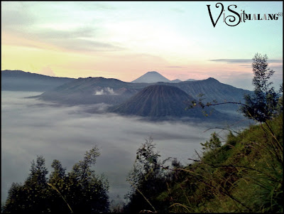 VISITMALANG&gt;&gt;&gt;&gt;&gt;&gt;&gt;&gt;&gt;&gt;EastJava