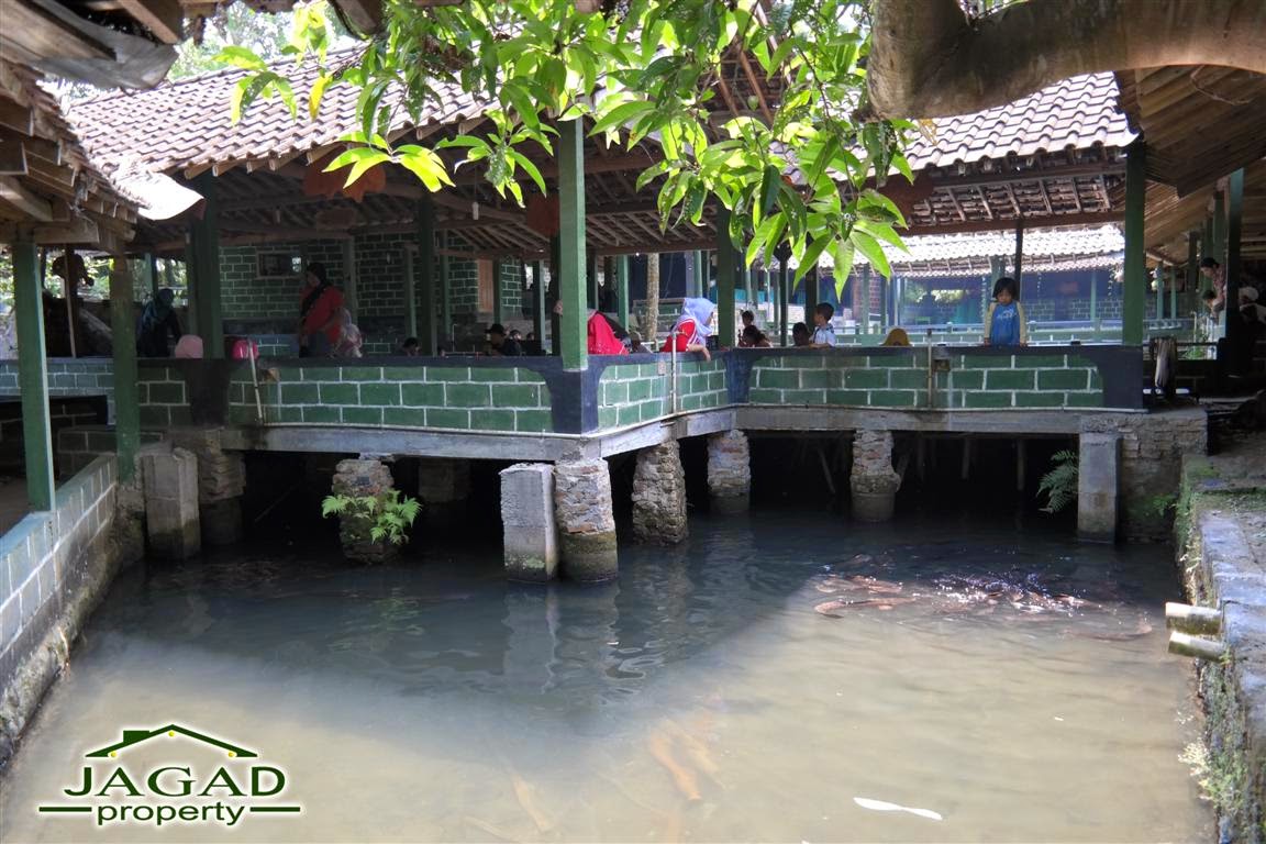 Oper Manajemen Rumah makan dilengkapi Kolam Renang