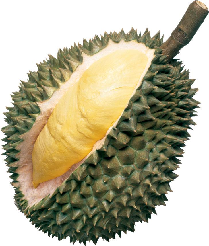 HATI HATI Makan Durian gan