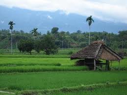 Indonesia yang katanya &quot;Negara Agraris&quot;