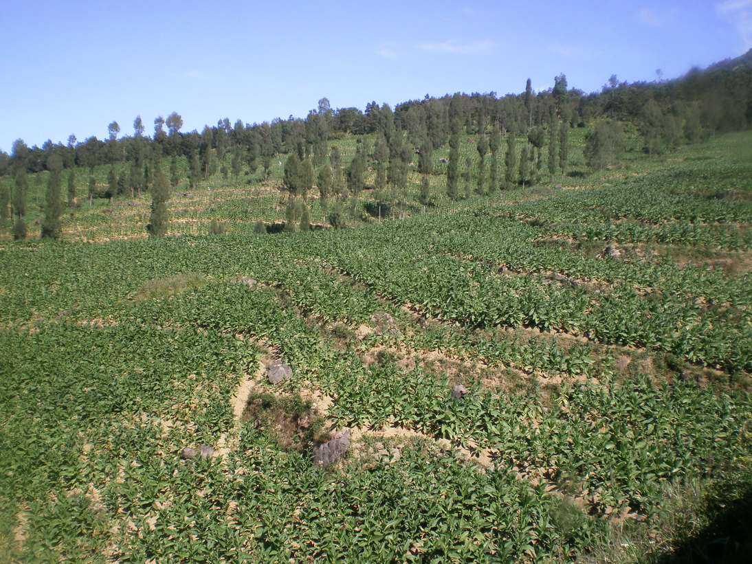 Wisata Alam Posong Temanggung