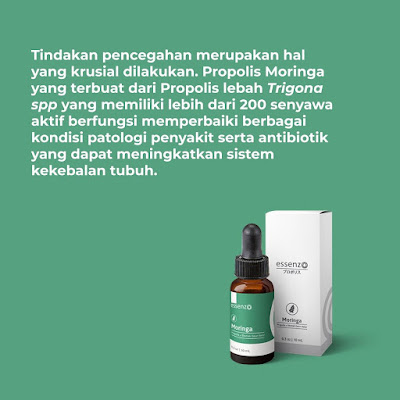 INI DIA Manfaat Daun Kelor Yang Efektif Tingkatkan Imunitas Tubuh Saat Pandemi Corona