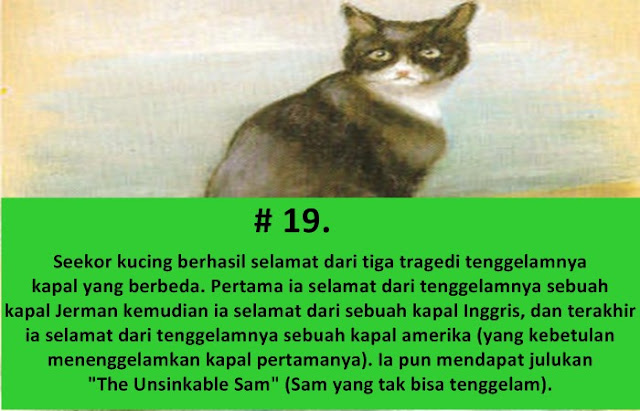 20 FAKTA UNIK PERANG DUNIA II GAN !!!! (PIC)