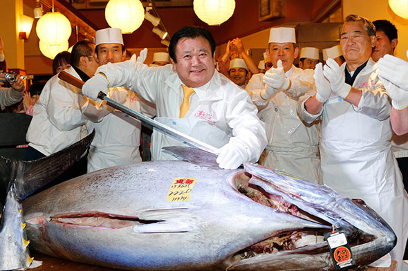 Seekor Ikan Tuna TERMAHAL DIDUNIA
