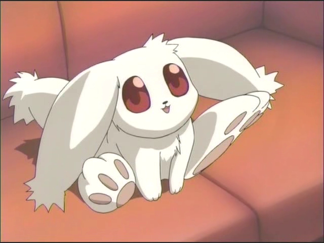 10 Karakter Hewan Anime Terimut