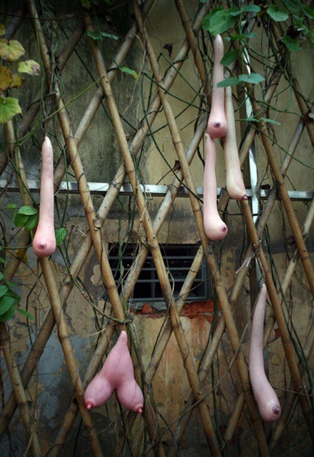 buah beneran yang sexy bb++