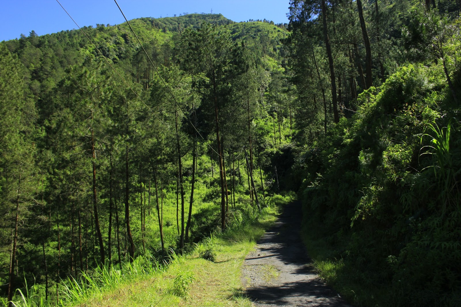 &#91;AJAKAN&#93; Naik-Naik ke Puncak Andong, Lanjut ke Telomoyo 7-9 Feb 2014