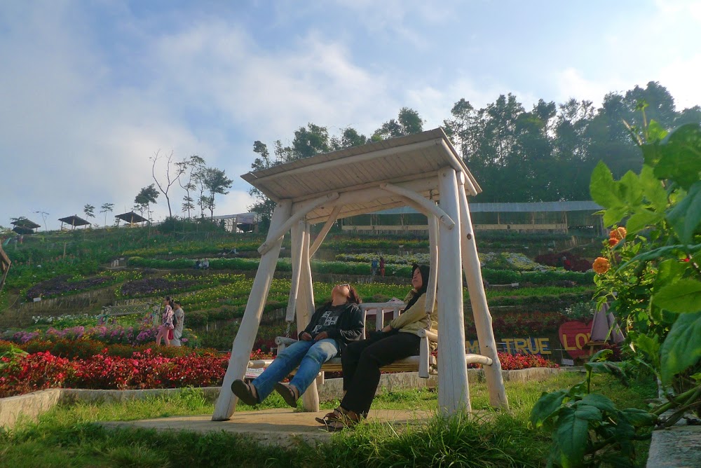 &#91;CoC Regional: Lokasi Wisata&#93; Nyasar, Sampai Kutabawa Flower Garden