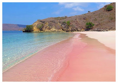 Top Spots to shoot Spectacular Photos in Komodo National Park