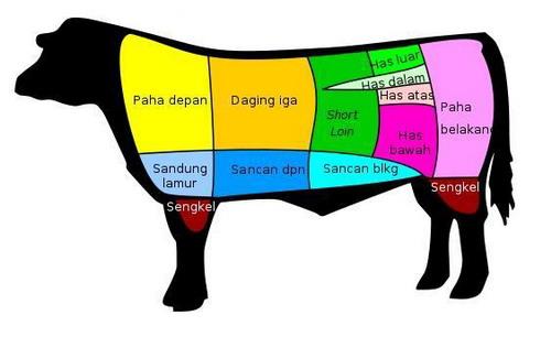 jenis-jenis-bagian-daging-sapi