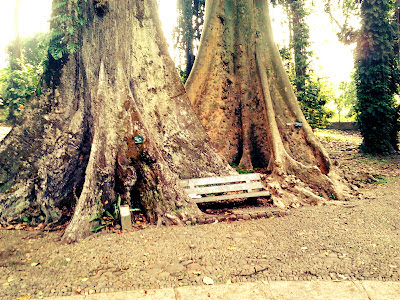 Mitos Yang Ada Pada Kebun Raya Bogor 