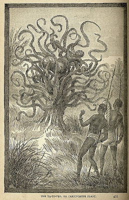 Kriptobotani dan Misteri Pohon Pemakan Manusia