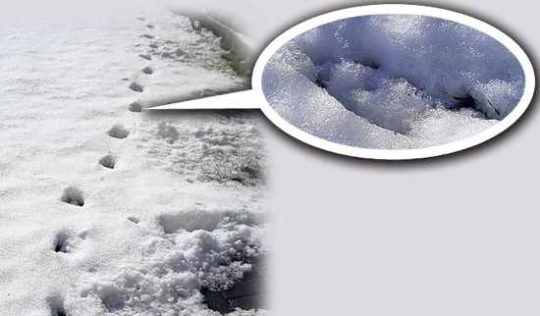 10 Misteri Aneh Yang Belum Pernah Kamu Dengar