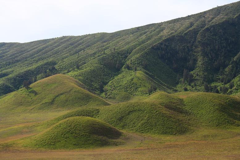 --=!!Bukit Teletubbies!!=--