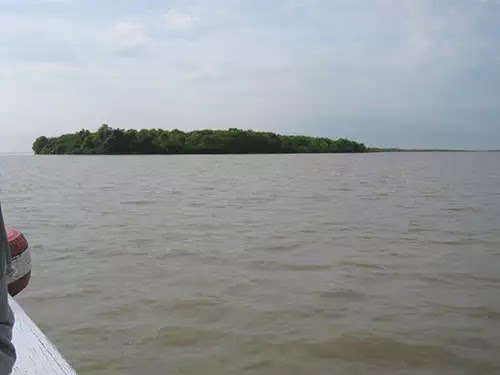 Pulau Sarinah, Pulau Hasil Endapan Lumpur Sidoarjo