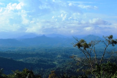 Berwisata di Atas Awan Pango-Pango, Indonesia 