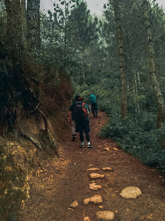 GUNUNG YANG COCOK UNTUK PEMULA MAGELANG
