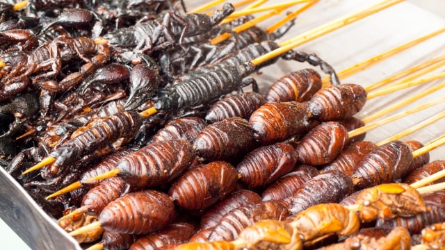 Makanan yang Mungkin Bisa Menyelamatkan Planet Kita, Serangga