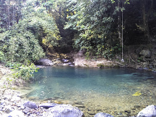 Menemukan Bahagia di Bulakan (Taman Nasional Ujung Kulon)