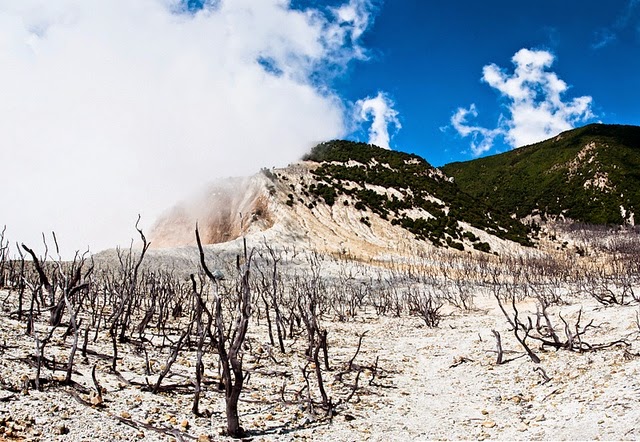 mendaki-gunung-papandayan-nikmati-keindahan-edelweis-dan-aura-mistis-hutan-mati