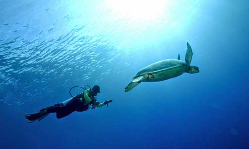  Tempat Wisata Terindah Berjuluk Surga Tersembunyi di Indonesia 