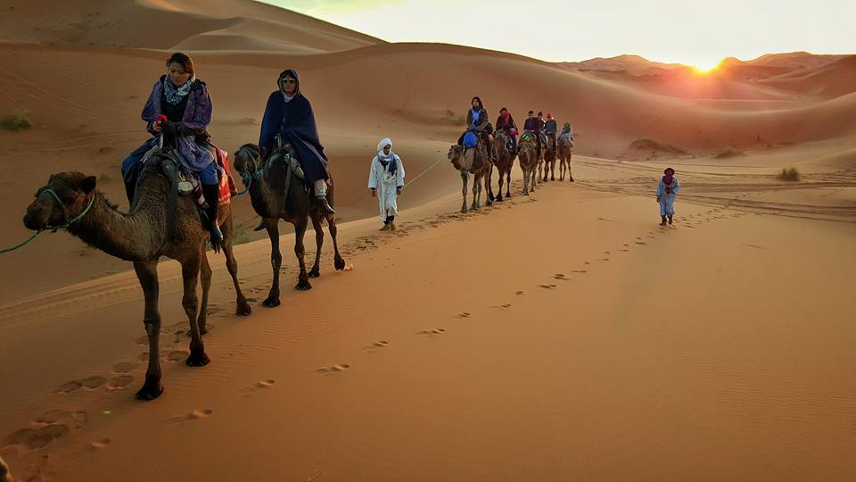 AMFFUNN!! Jangan Coba Jalan ke Gurun Sahara, Sebelum Tahu 5 Tips Ini