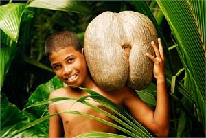 10 fakta unik ini akan mengubah pemikiran agan tentang buah