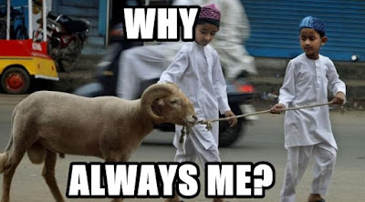 Perasaan Kambing Sebelum Eksekusi di Hari Raya Kurban [Meme Lucu]