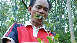 Manusia Dengan Makanan Teraneh Di Dunia 