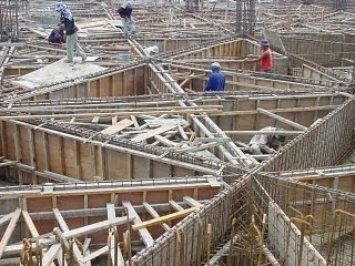 hot-inilah-hewan-hewan-unik-yang-mampu-menginspirasi-manusia