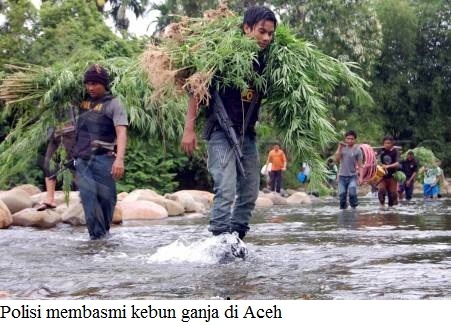 Gampong Lamtuba, Seulimum, Aceh Besar Tempatnya Ladang Ganja