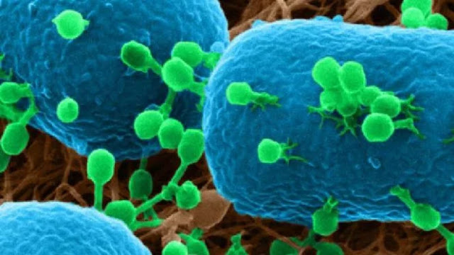 bisa-menyebar-cepat-who-peringatkan-virus-wuhan-apa-sih-bahayanya