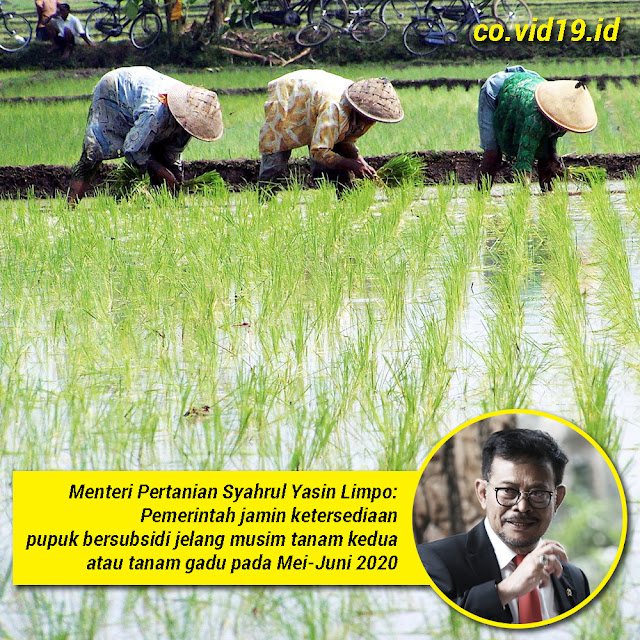Mentan jamin Ketersediaan Pupuk Bersubsidi Jelang Musim Panas Kedua
