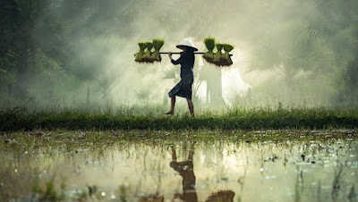 apapun-pekerjaanmu-syukuri-nikmati-dan-jalani-dengan-ikhlas