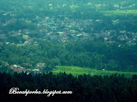 &#91;CoC Regional: Lokasi Wisata&#93; Jalan-Jalan ke Bukit Cinta Desa Kalipagu