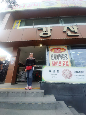 (edot journey) Wedding Anniversary Trip, Musim Gugur di Korea Selatan (+ VR Image)