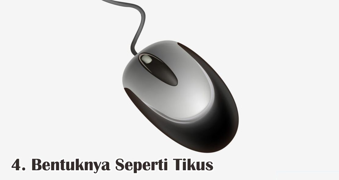  5 Fakta Unik Seputar Mouse Yang Perlu Kamu Ketahui !
