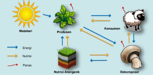 PENGERTIAN DAN DEFINISI EKOSISTEM 