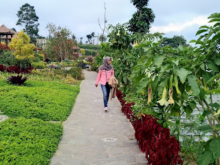 Wisata Alam Merapi Garden Selo Boyolali