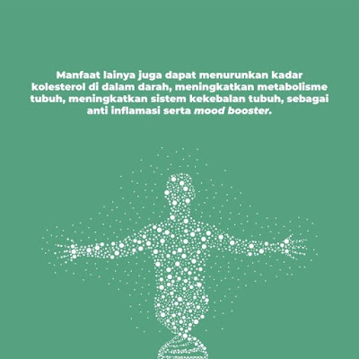INI DIA Manfaat Daun Kelor Yang Efektif Tingkatkan Imunitas Tubuh Saat Pandemi Corona