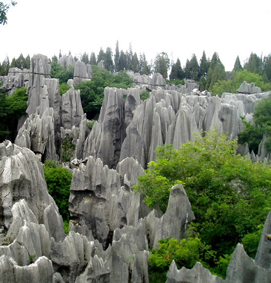 Menilik Kemegahan Hutan Batu di China