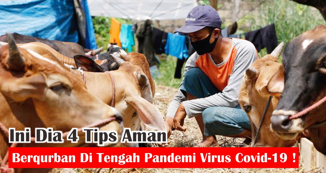 tata-cara-laksanakan-qurban-dengan-aman-ditengah-pandemi