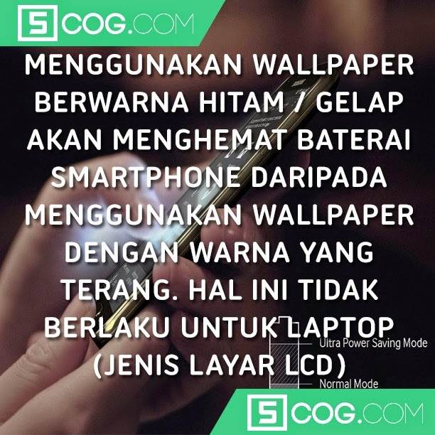 Fakta-Fakta Yang Harus Anda Tahu